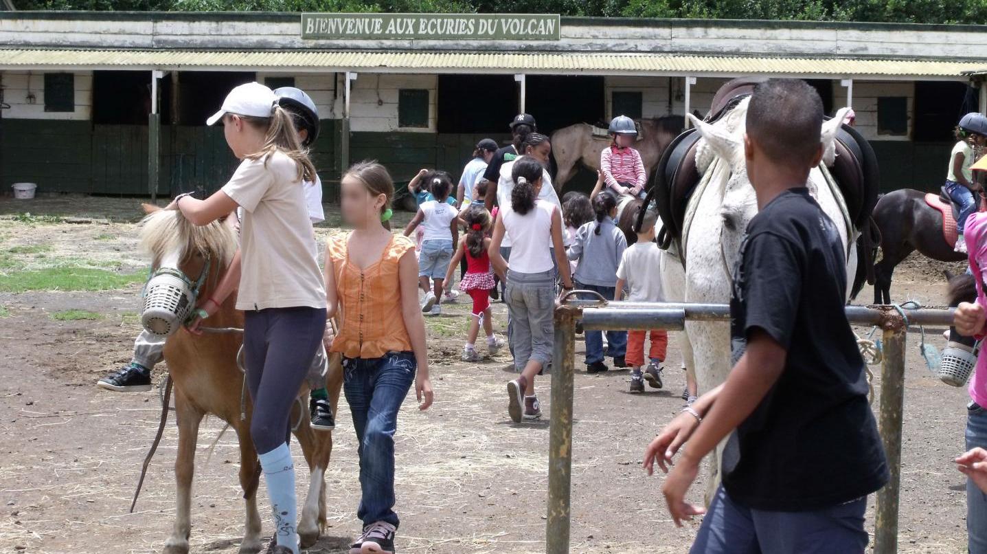 Centre équestre Le Tampon la plaine des cafres